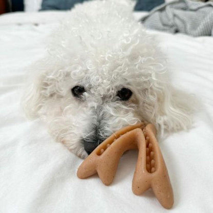 Tall Tails Antler Chew-Pets - Toys-Tall Tails-Appalachian Outfitters