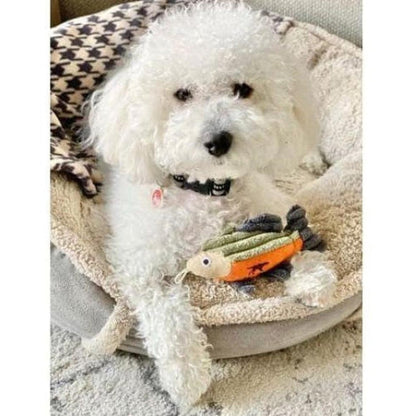 Tall Tails Baby Fish Toy 5 Outdoor Dogs