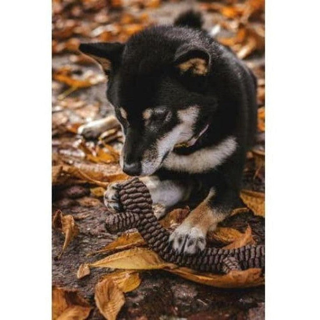 Tall Tails Brown Braided Stick Toy Outdoor Dogs