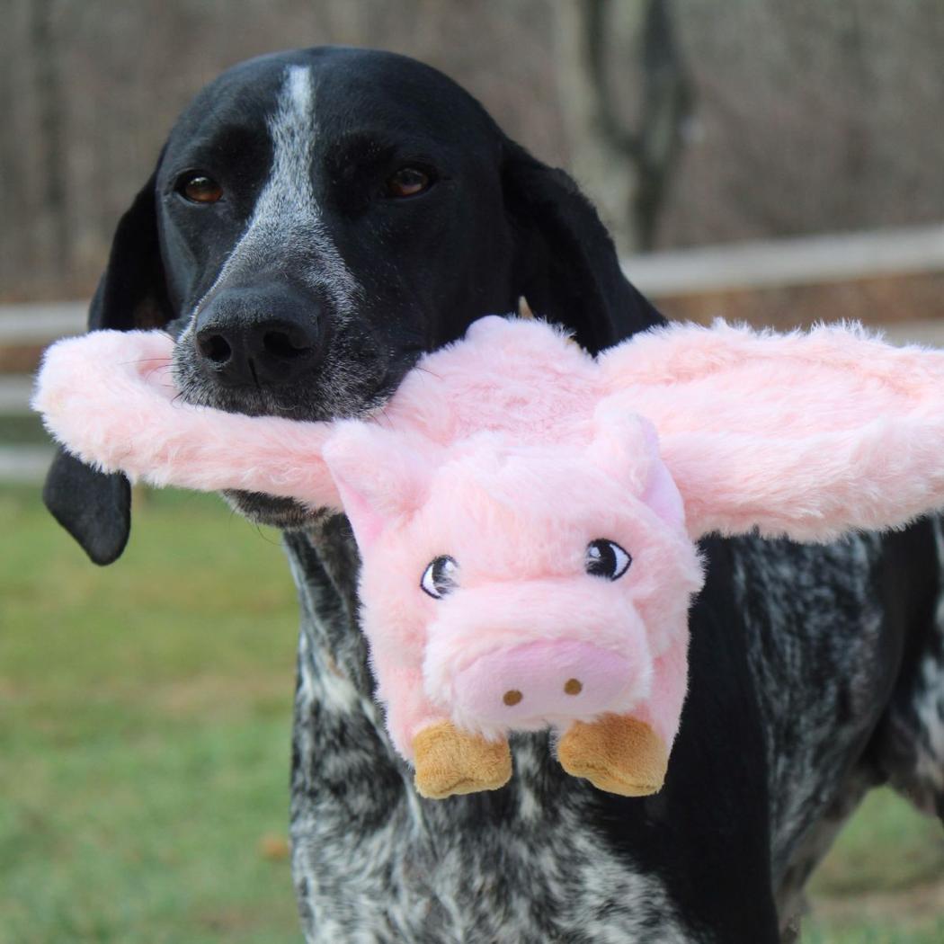 Tall Tails Fling and Fetch Plush Toy-Pets - Toys-Tall Tails-Appalachian Outfitters