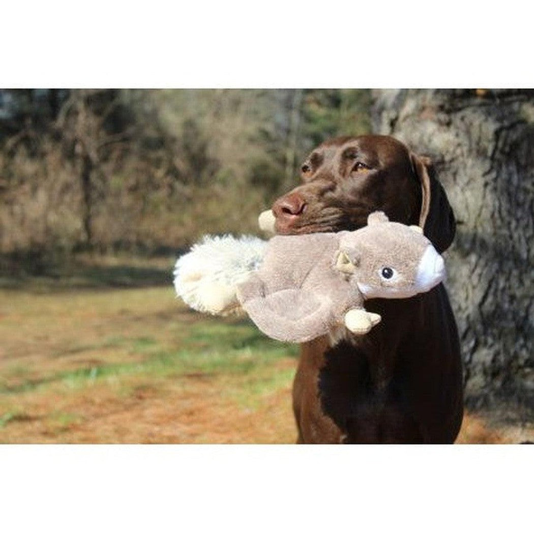 Tall Tails Plush Flying Squirrel Toy - 12"-Pets - Toys-Tall Tails-Appalachian Outfitters