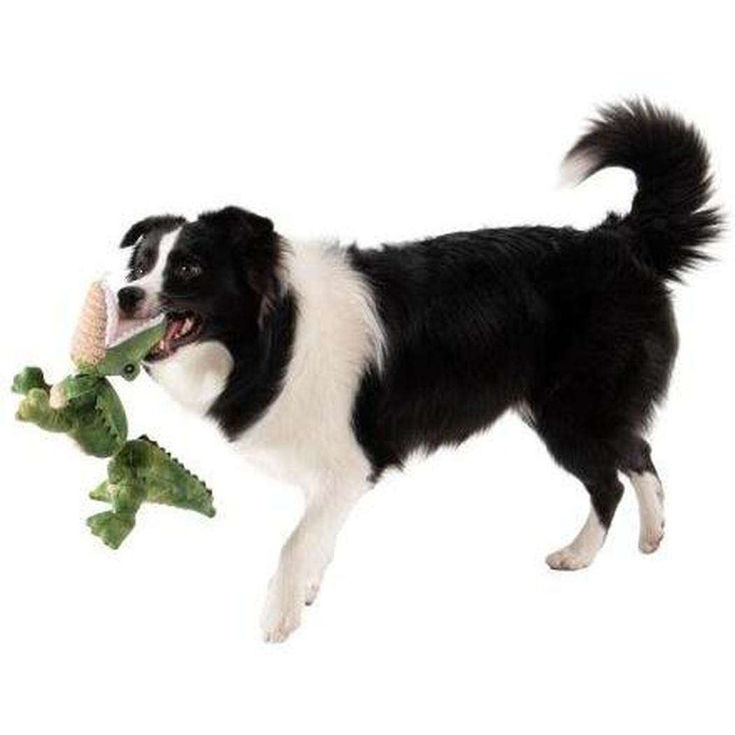 Tall Tails Gator Jointed Shake Play Dog Toy-Pets - Toys-Tall Tails-Appalachian Outfitters