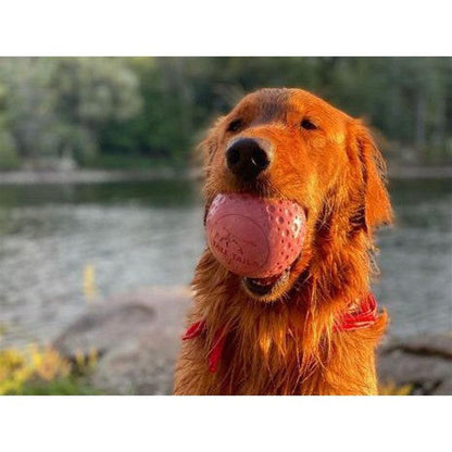 Tall Tails GOAT Ball-Pets - Toys-Tall Tails-Appalachian Outfitters