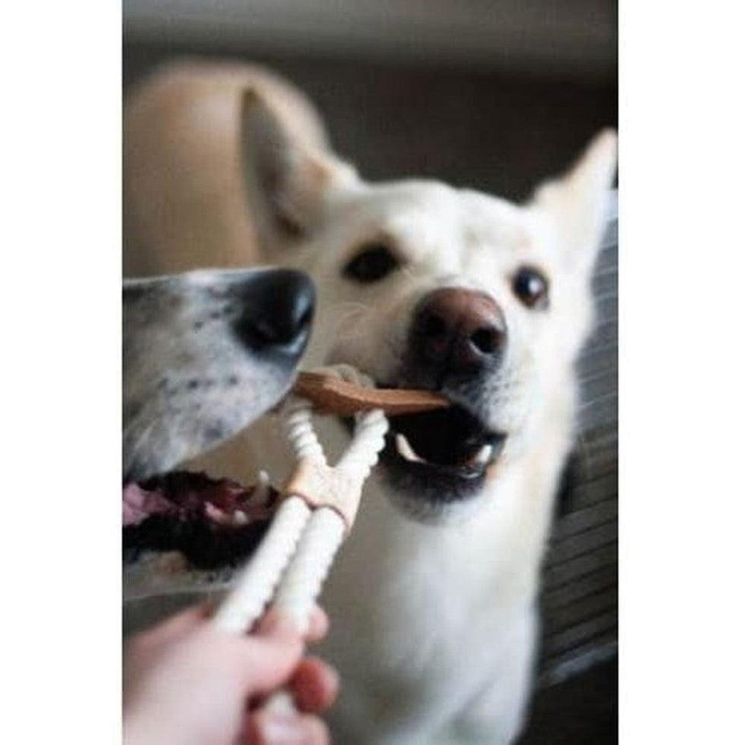 Tall Tails Natural Leather Big Jr. Tug Toy Outdoor Dogs
