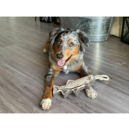 Tall Tails Natural Leather Trout Tug Toy Outdoor Dogs