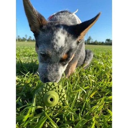 Tall Tails Natural Rubber Acorn Toy - 3"-Pets - Toys-Tall Tails-Appalachian Outfitters