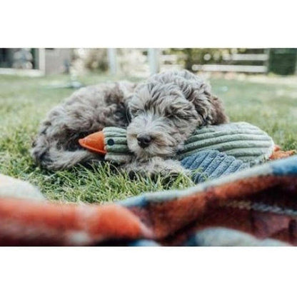 Tall Tails Plush Duck with Squeaker Outdoor Dogs