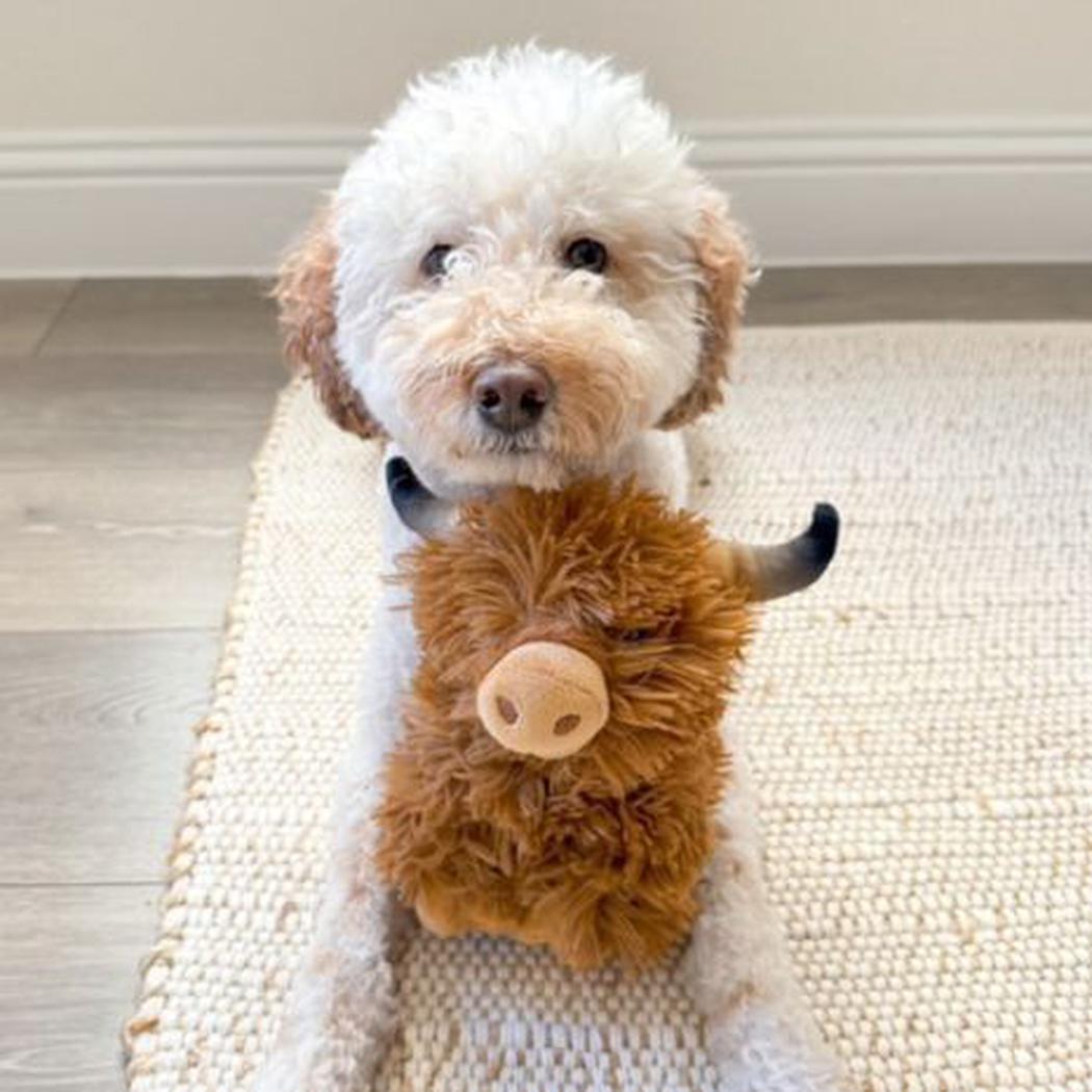 Tall Tails Plush Highland Cow-Pets - Toys-Tall Tails-Appalachian Outfitters