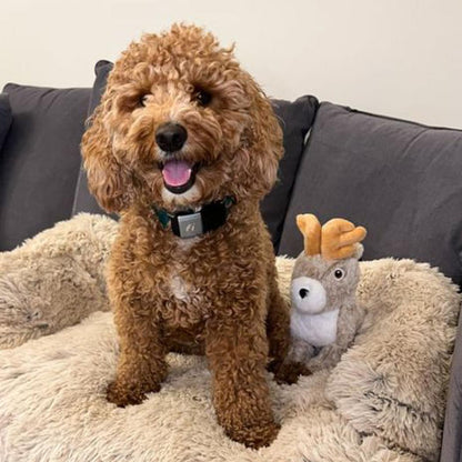 Tall Tails Plush Jackalope Twitchy Toy - 9"-Pets - Toys-Tall Tails-Appalachian Outfitters