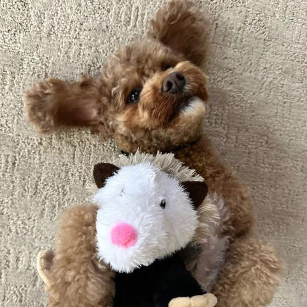 Tall Tails Rope Body Possum 12"-Pets - Toys-Tall Tails-Appalachian Outfitters