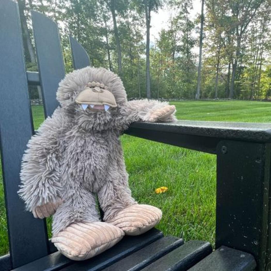 Tall Tails Stuffless Big Foot with Squeaker - 20"-Pets - Toys-Tall Tails-Appalachian Outfitters