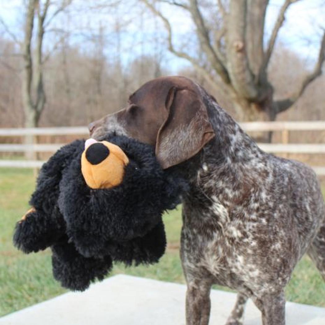 Tall Tails Stuffless Black Bear Squeaker Dog Toy-Pets - Toys-Tall Tails-Appalachian Outfitters