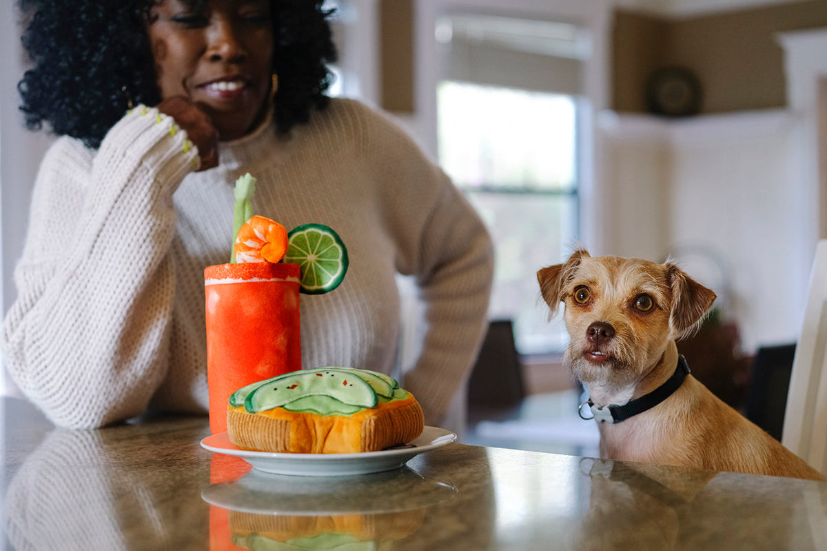 P.L.A.Y Barking Brunch Buddy Mary product image