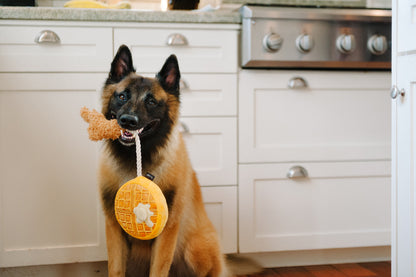 P.L.A.Y Barking Brunch Chicken and Woofles product image