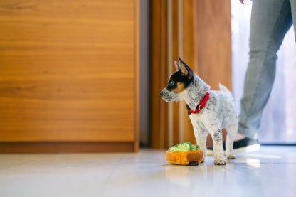 P.L.A.Y Barking Brunch Avo-doggo Toast product image