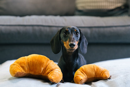 P.L.A.Y Barking Brunch Pup's Pastry product image