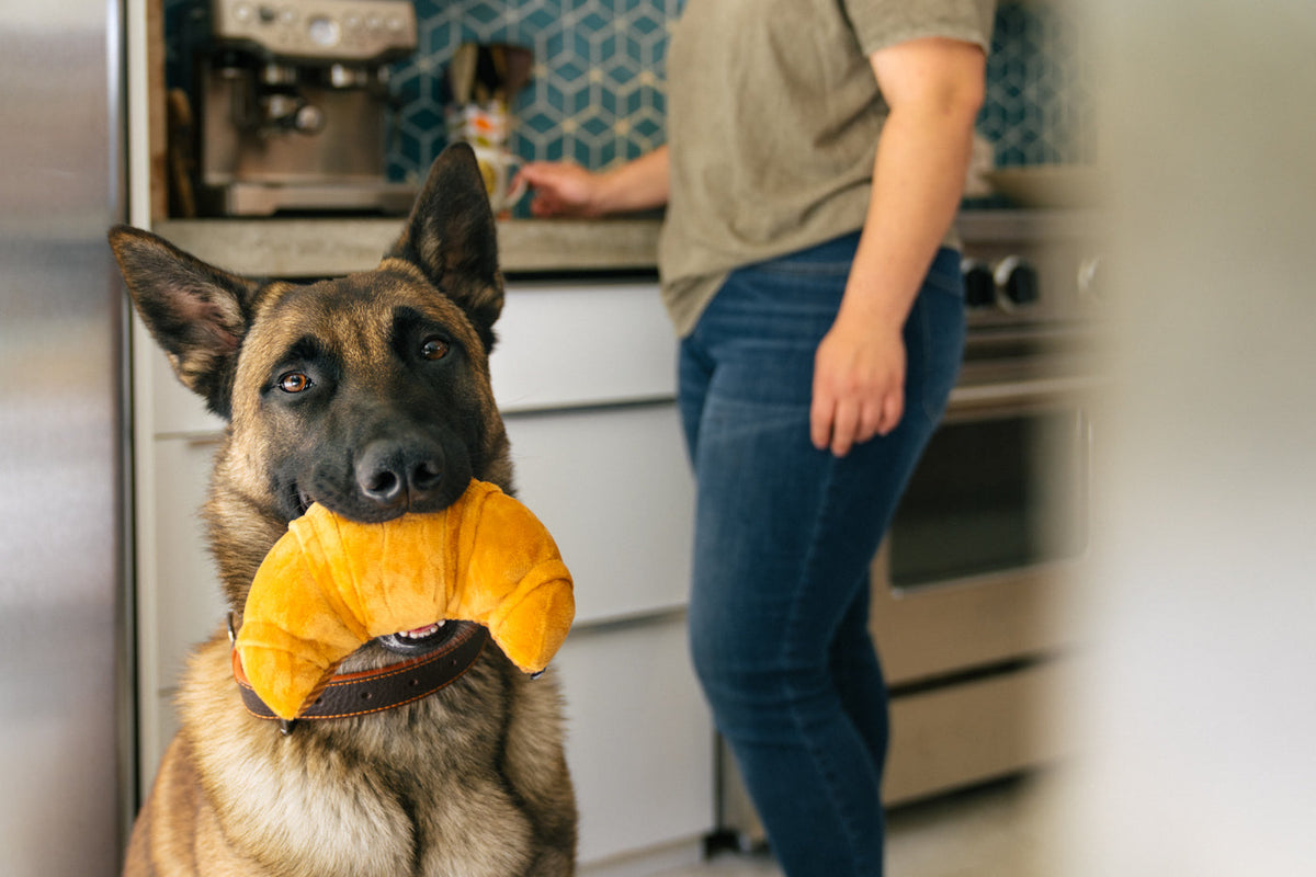 P.L.A.Y Barking Brunch Pup's Pastry product image