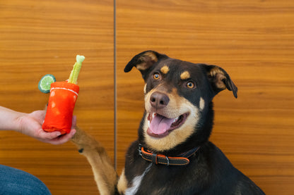 P.L.A.Y Barking Brunch Buddy Mary product image