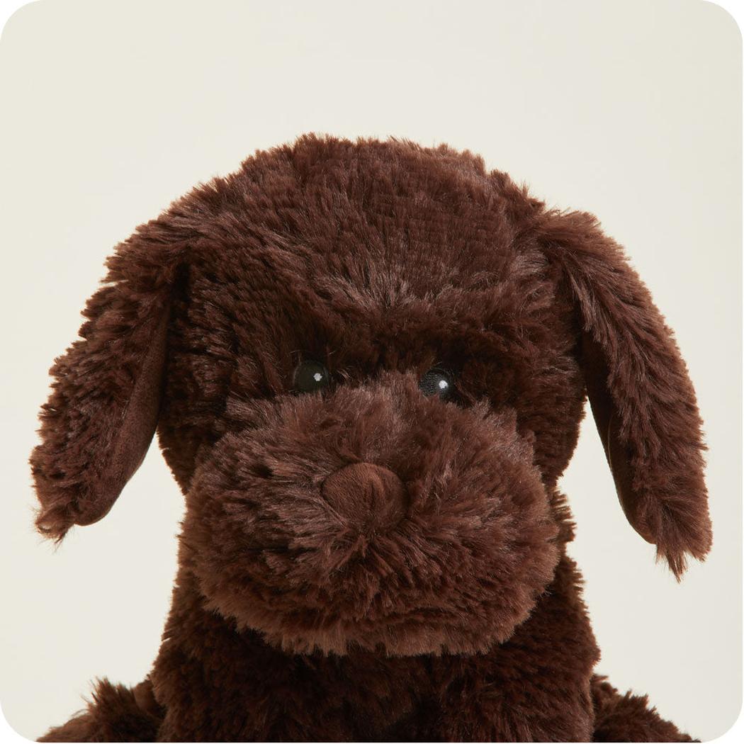 Warmies Chocolate Labrador-Accessories - Novelty-Warmies-Appalachian Outfitters