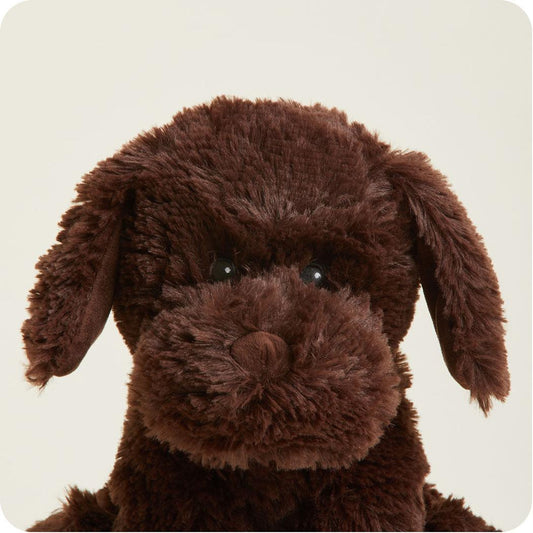 Warmies Chocolate Labrador-Accessories - Novelty-Warmies-Appalachian Outfitters